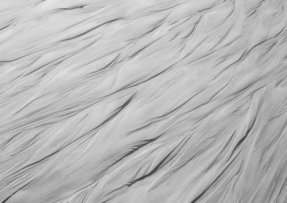 138A6326BW-RIBBA.jpg