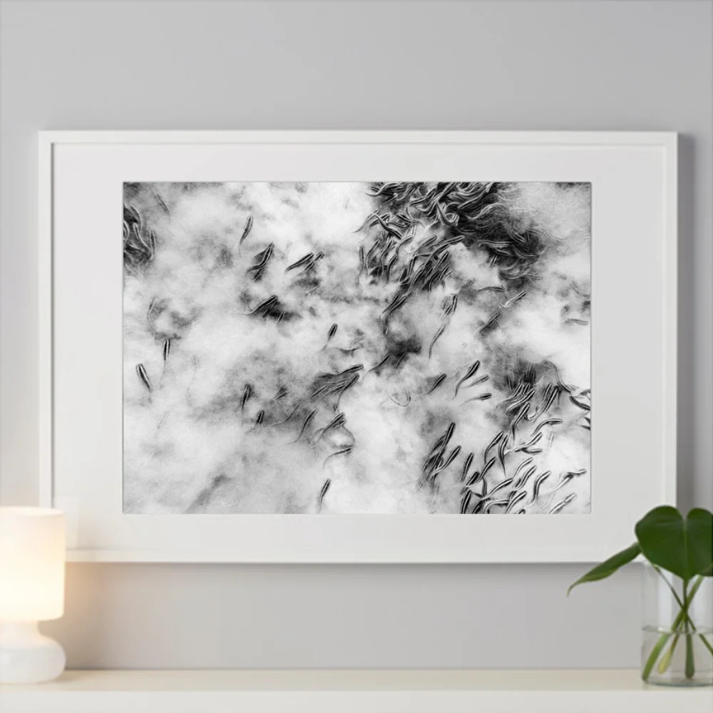 FISH-IN-THE-CLOUDS-WHITE.jpg
