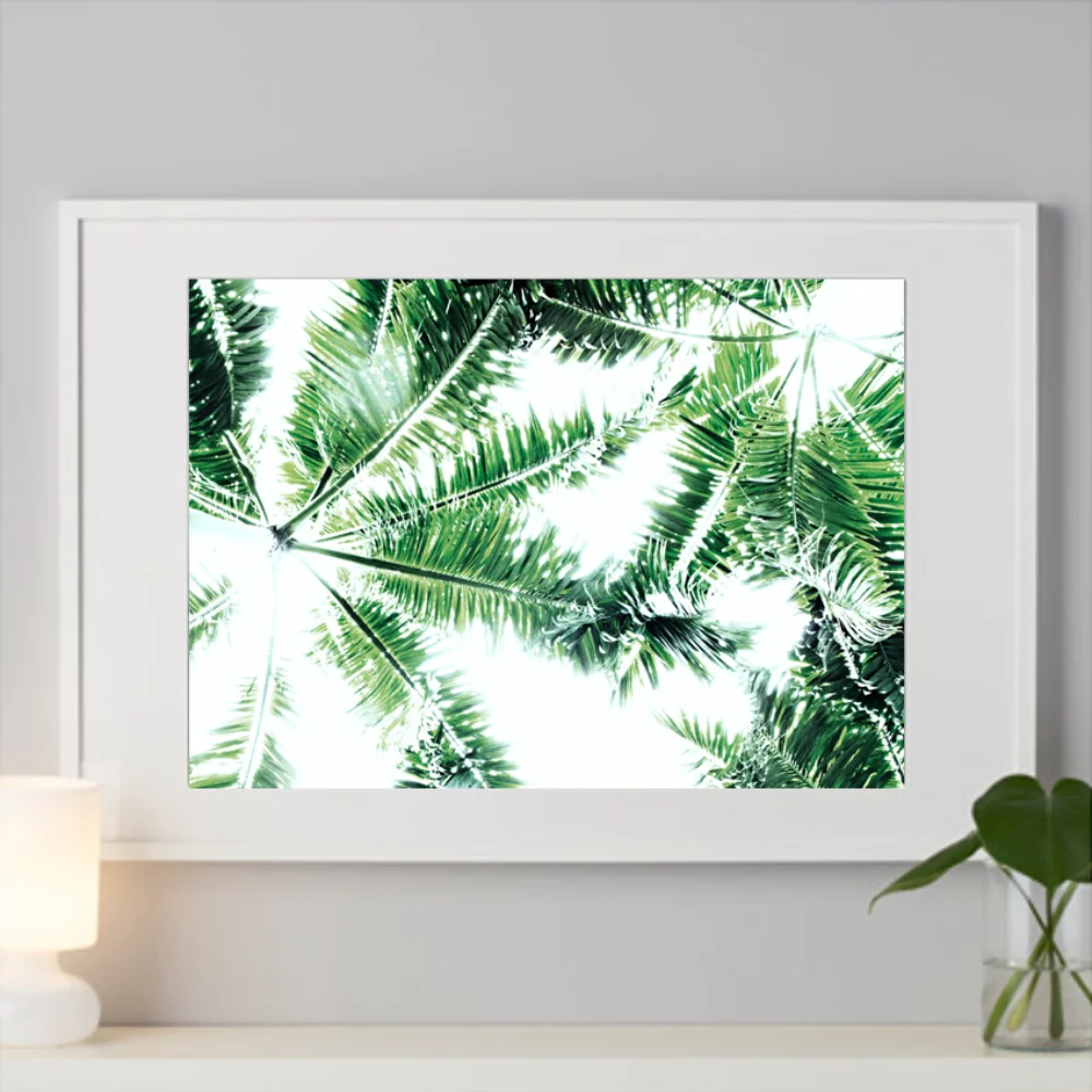 SALTY-PALMS-WHITE.jpg