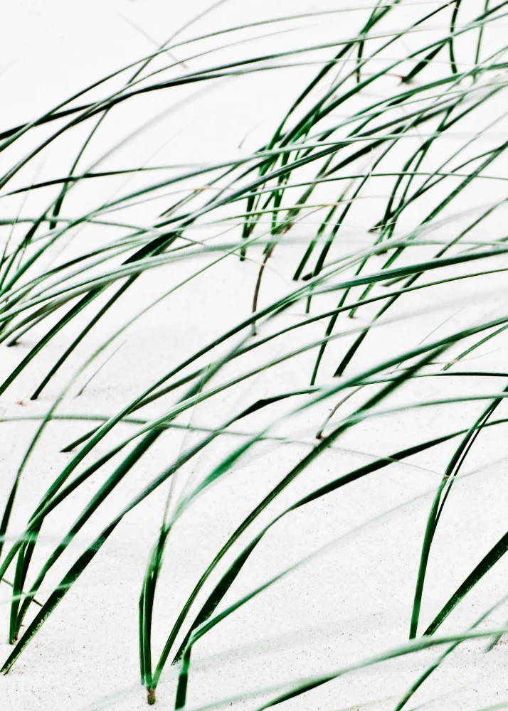 IMG_4573-SWAY-RIBBA.jpg