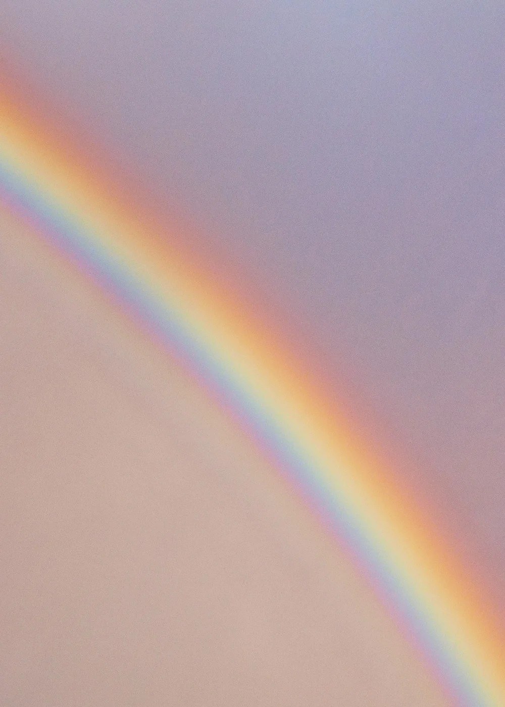 IMG_9788-RIBBA-RAINBOW.jpg