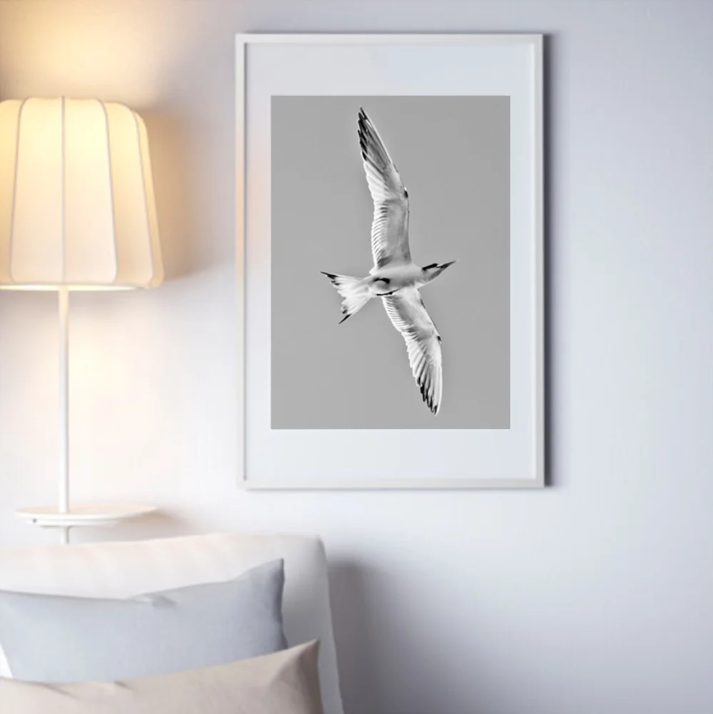 GULL-RIBBA-WHITE.jpg