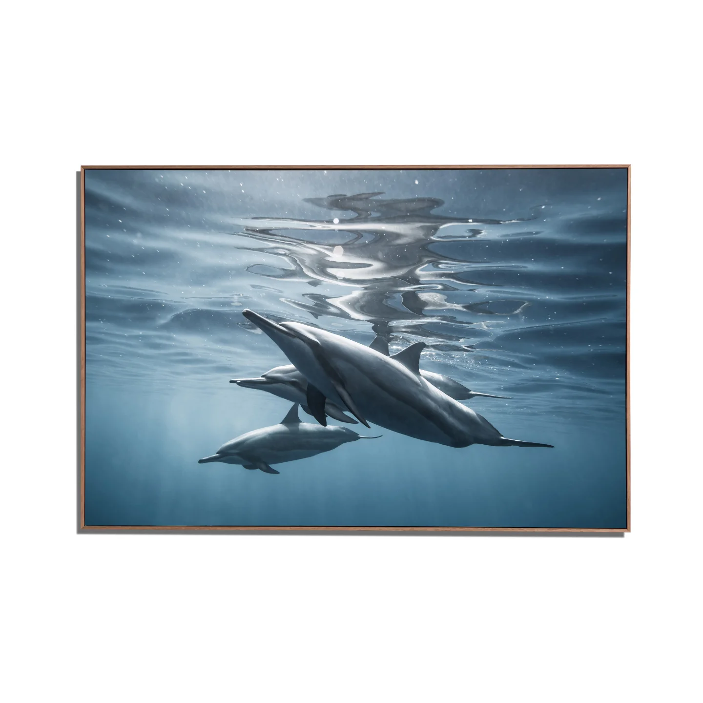 FINS-BOX-FRAME.jpg