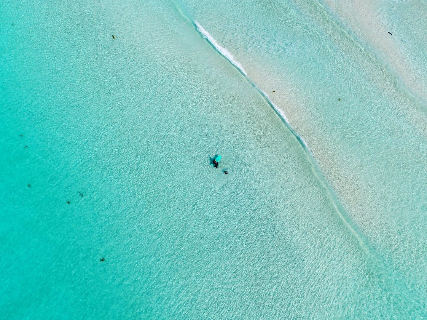 Eagle Bay Surfing