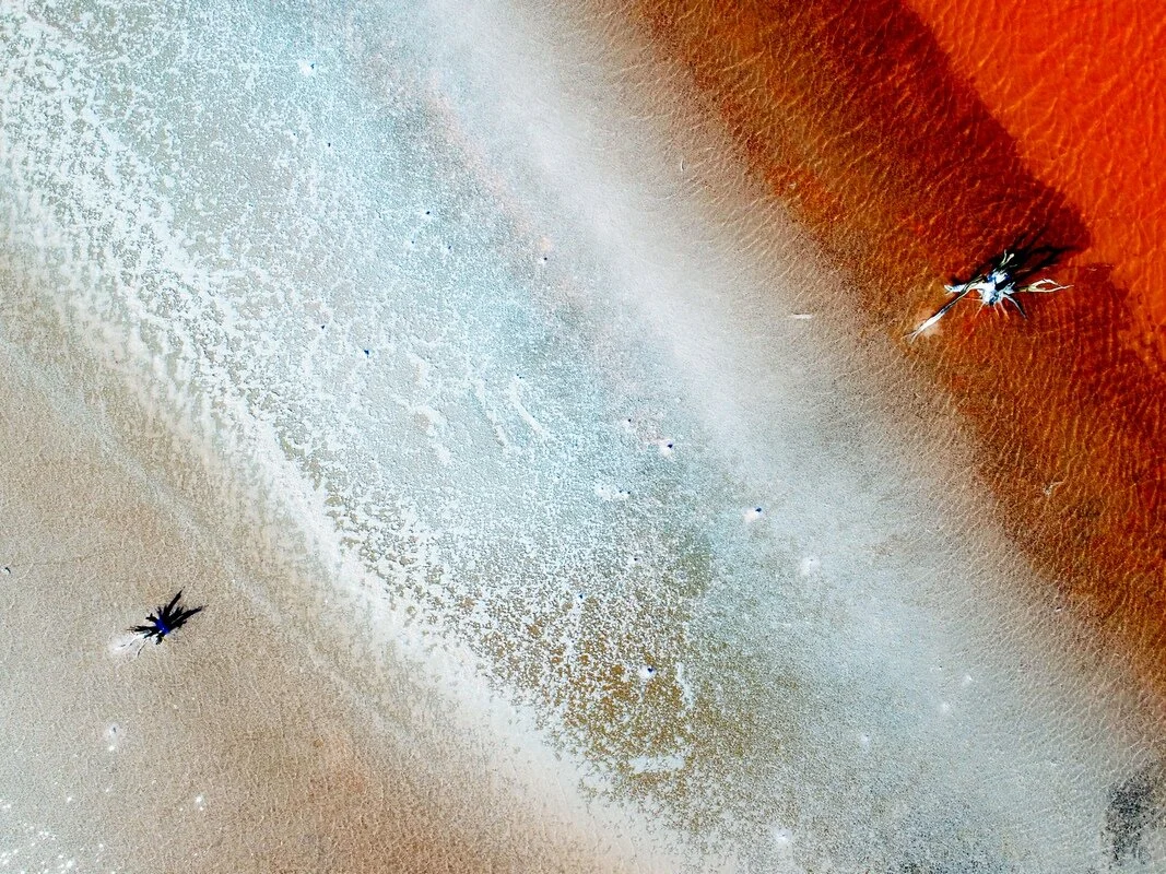 Wheatbelt Salty Skeletons