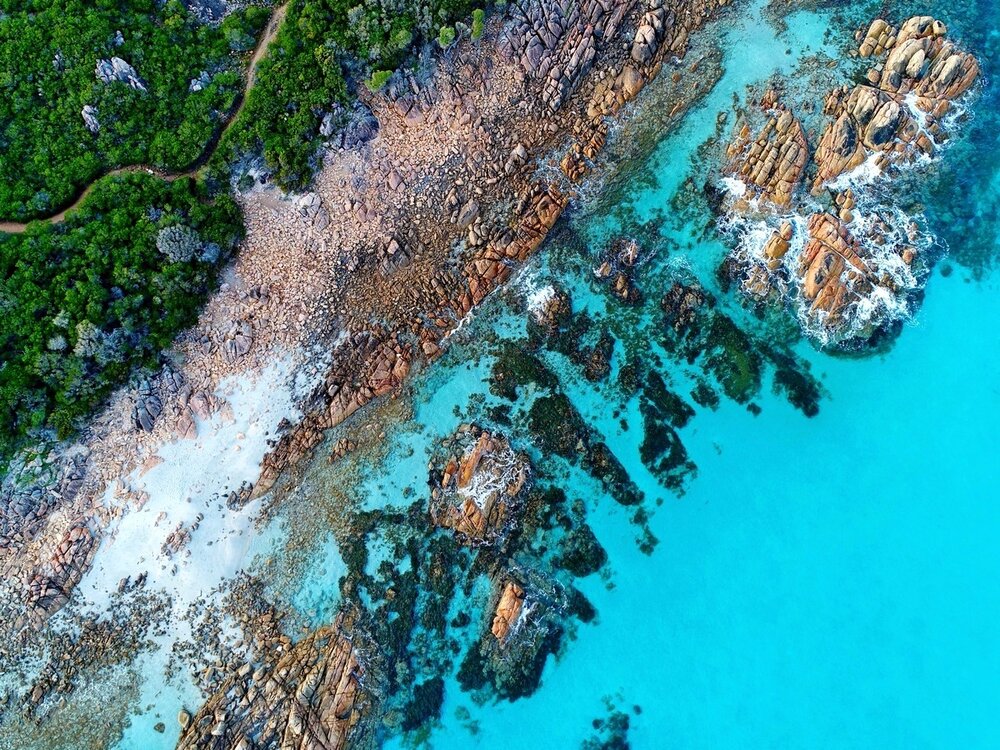 Trees to Ocean Dunsborough