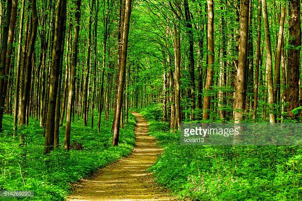 Photo by vovan13/iStock / Getty Images