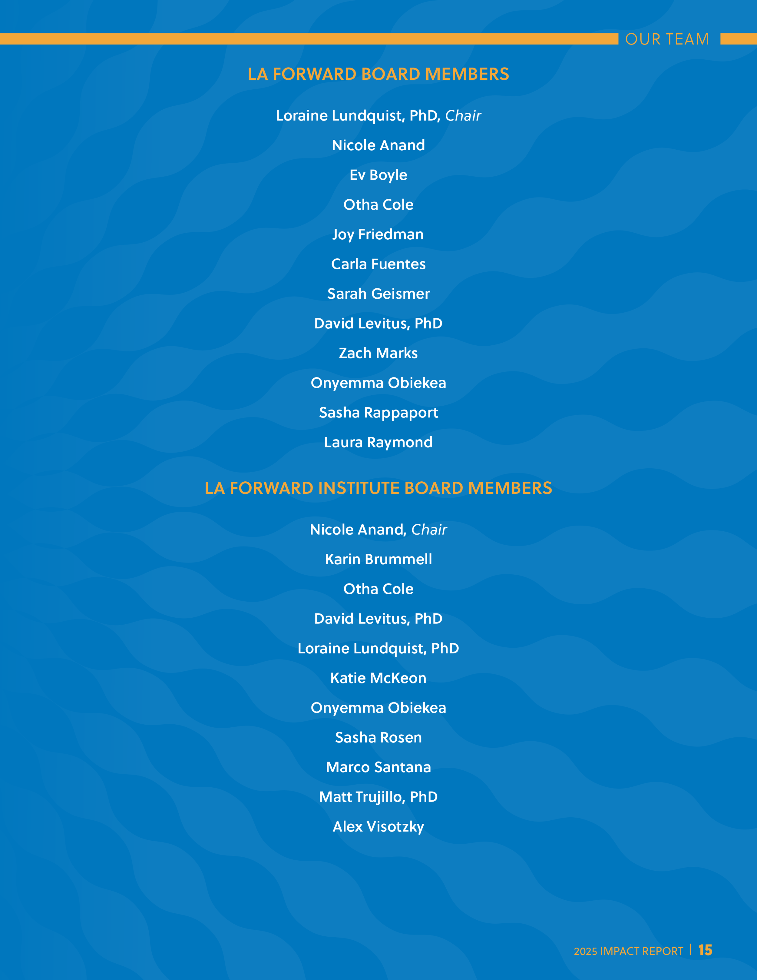 2025 LAF Impact Report-FINAL-Digital-15.png