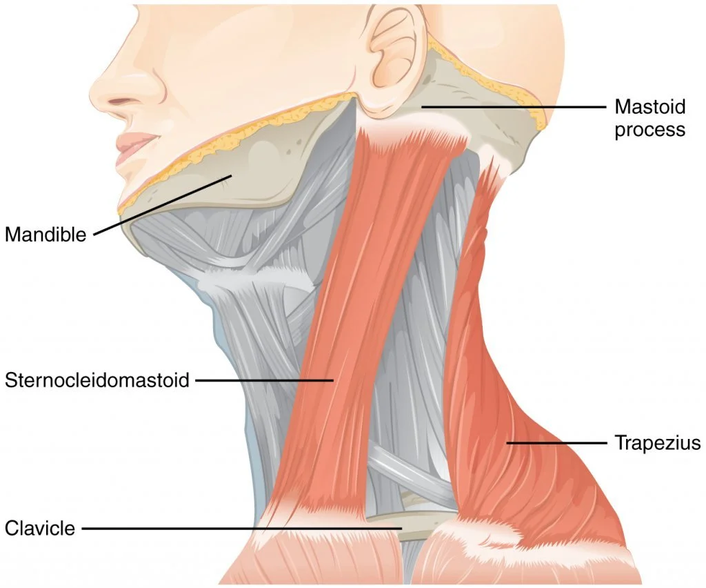 Can Physiotherapy Help Nerve Damage? What You Need to Know