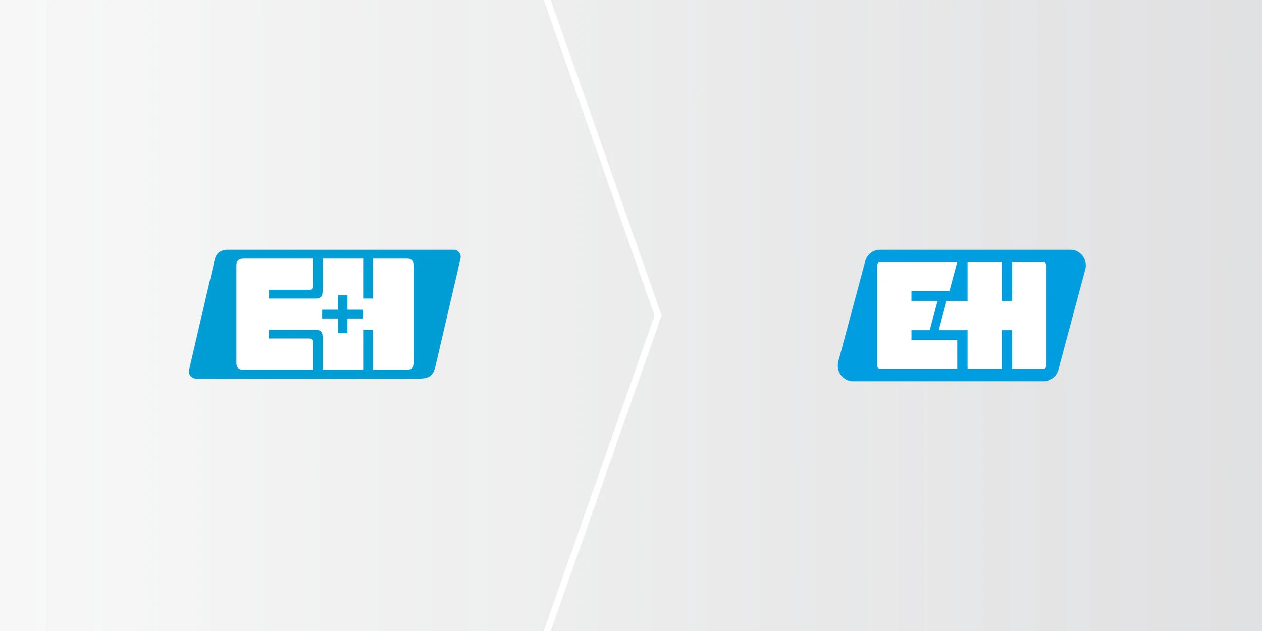 Endress Hauser Logo Redesign Henssler Und Schultheiss Design