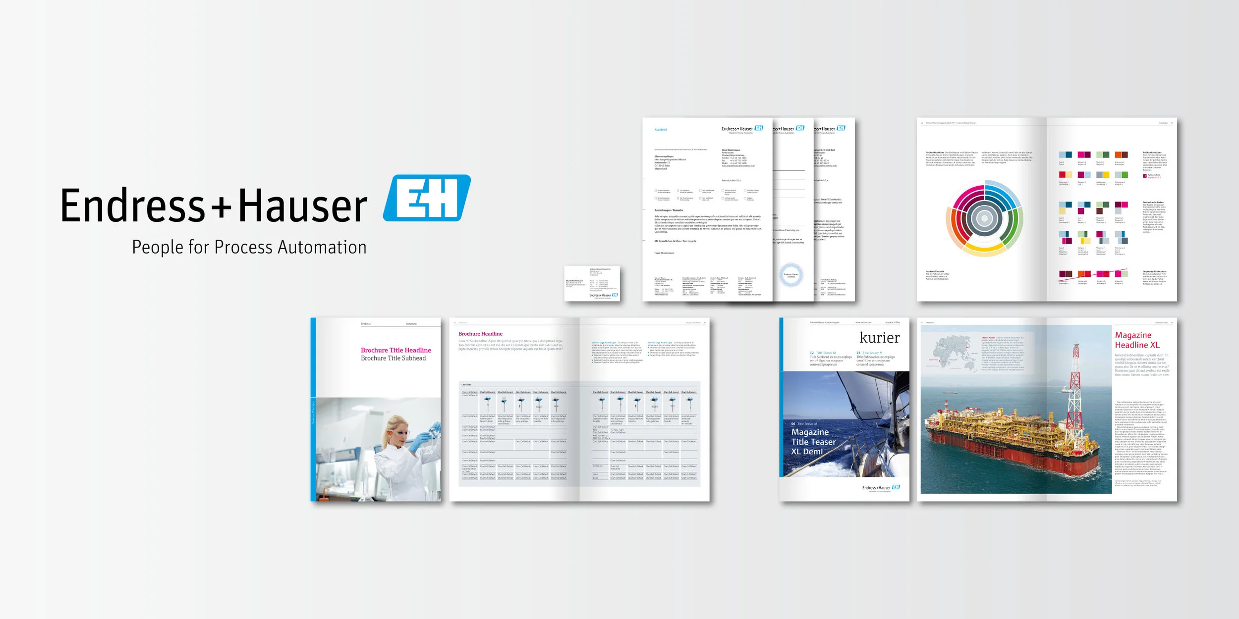 Endress Hauser Corporate Design Henssler Und Schultheiss Design