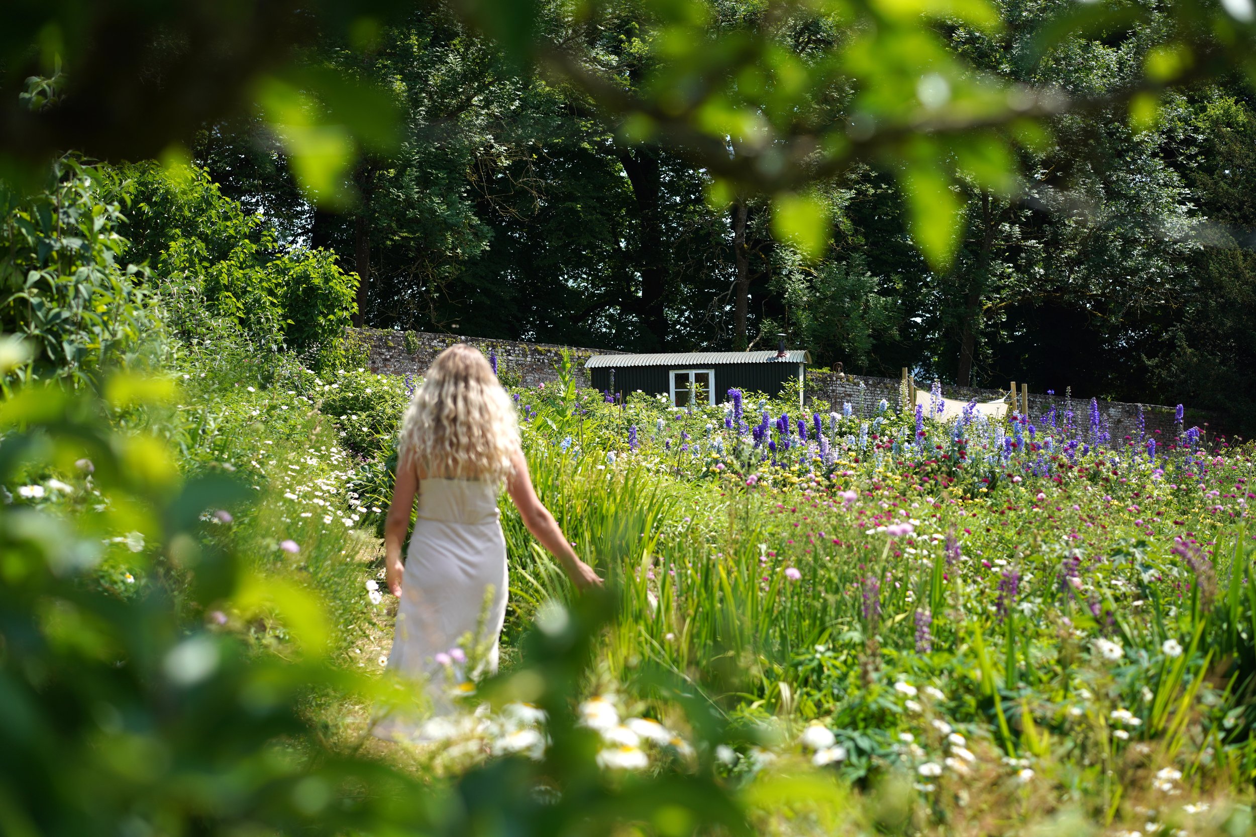 Shepherd's Hut & Garden.jpg