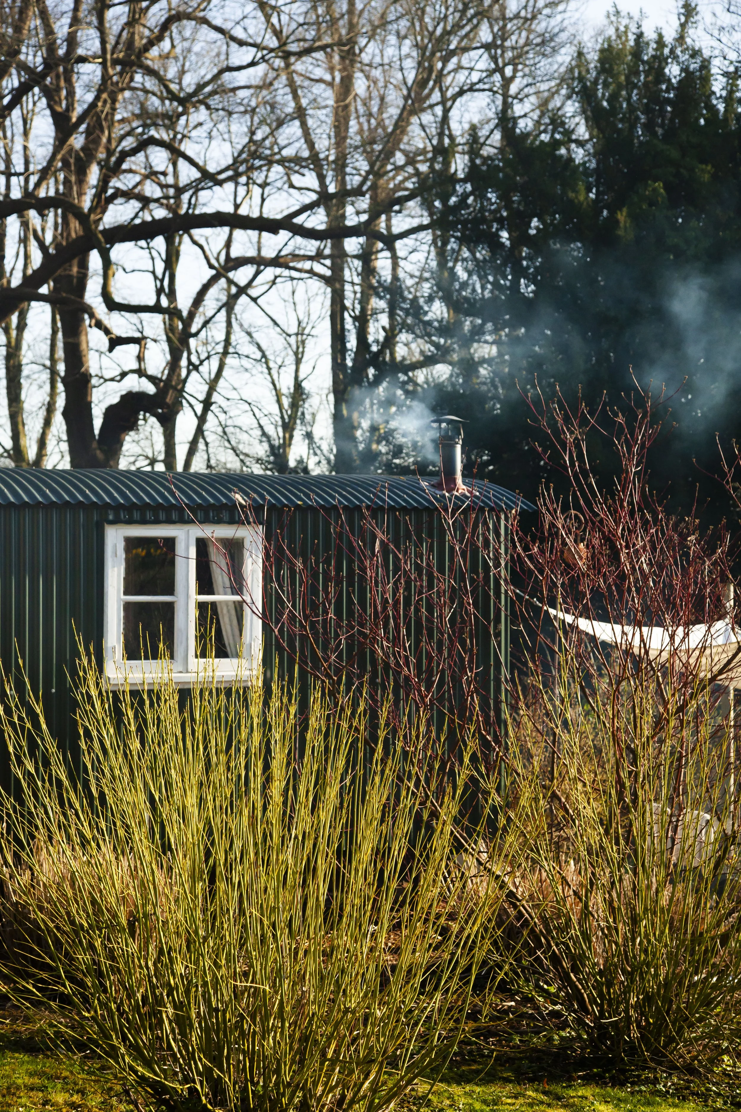 pythouse_shepherdshut_amk_mar26_4555_.jpg