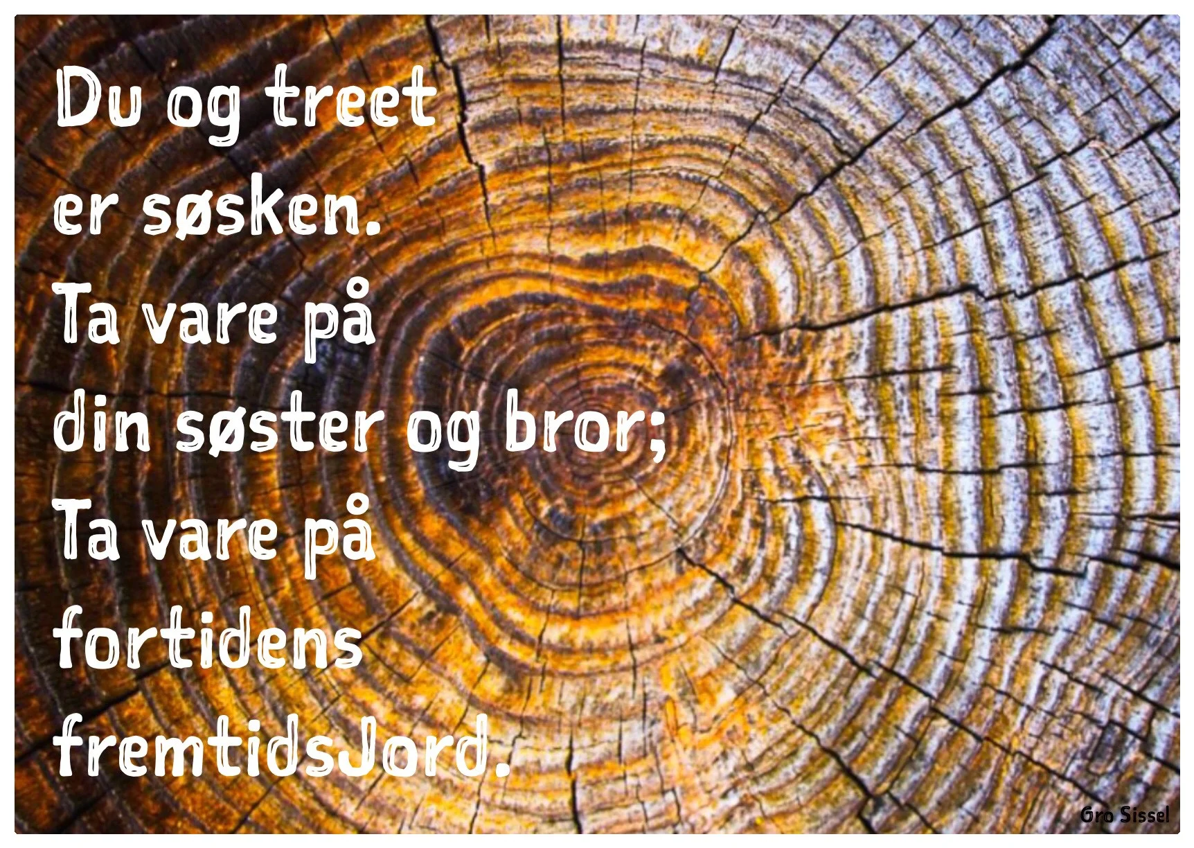 Du og treet.._.jpg