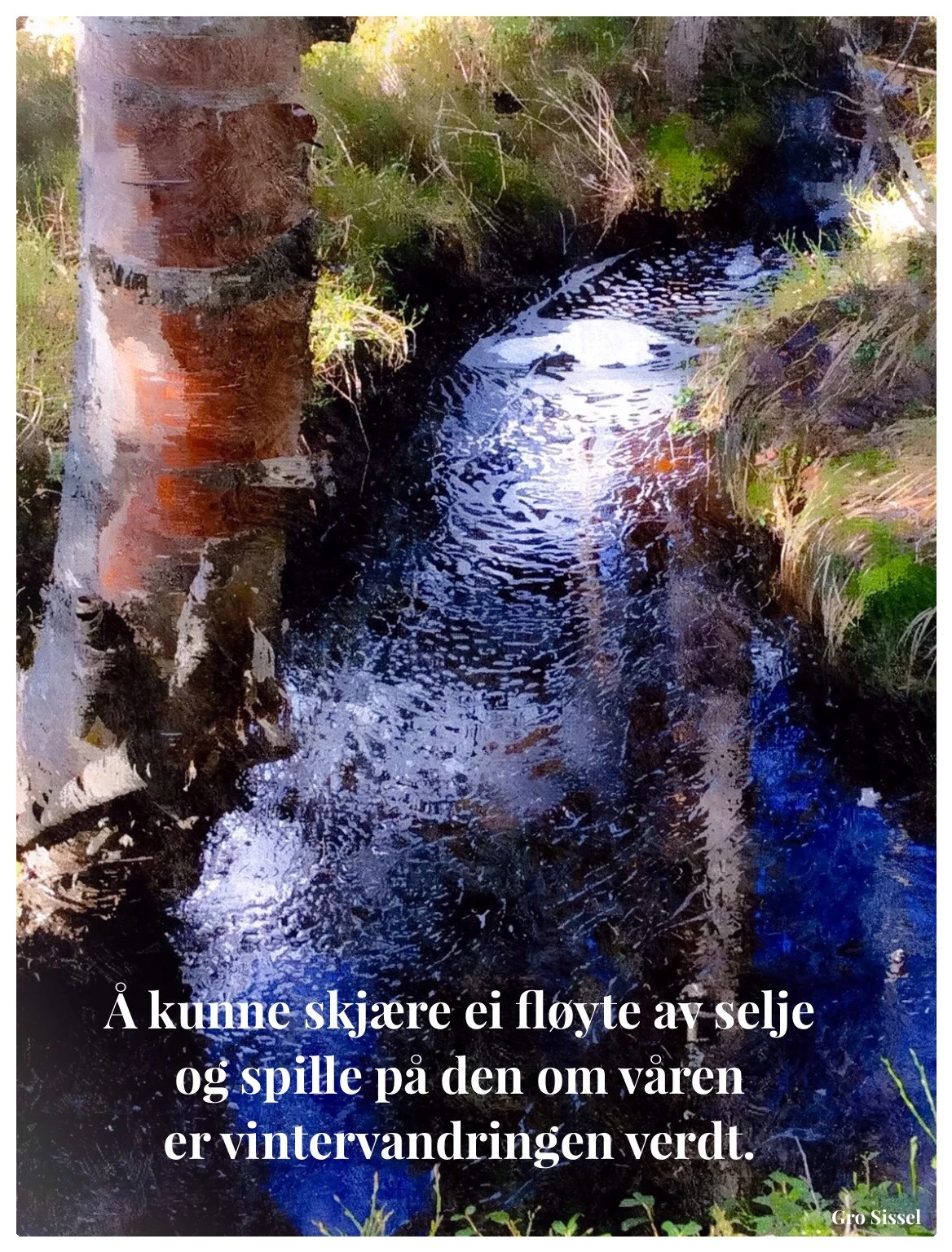 Seljefløyta.jpg