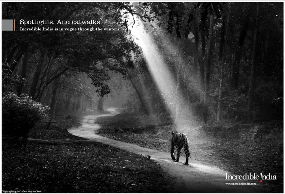 Work profile.007.jpeg