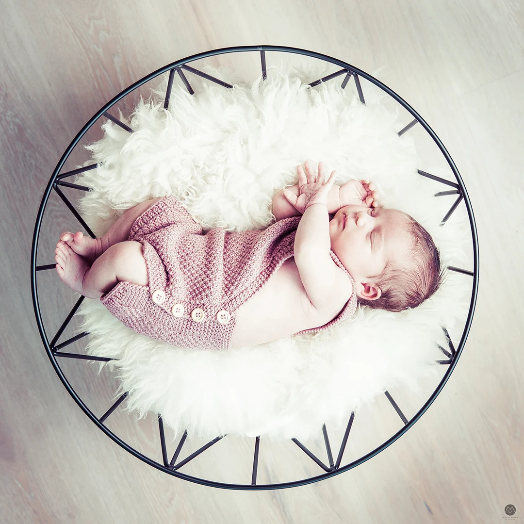 Aria_print_b-12.jpg