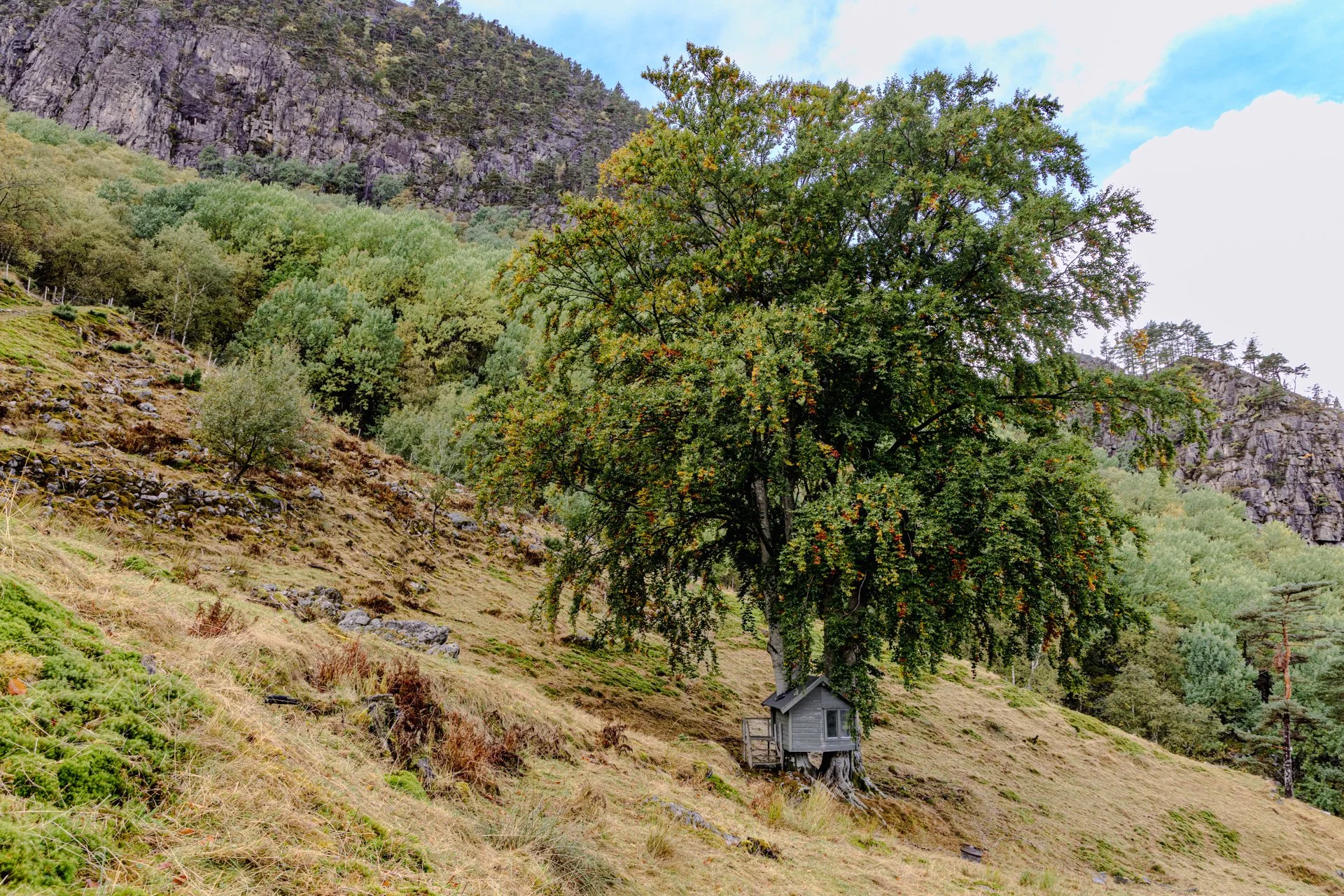 Natur 100101.jpg