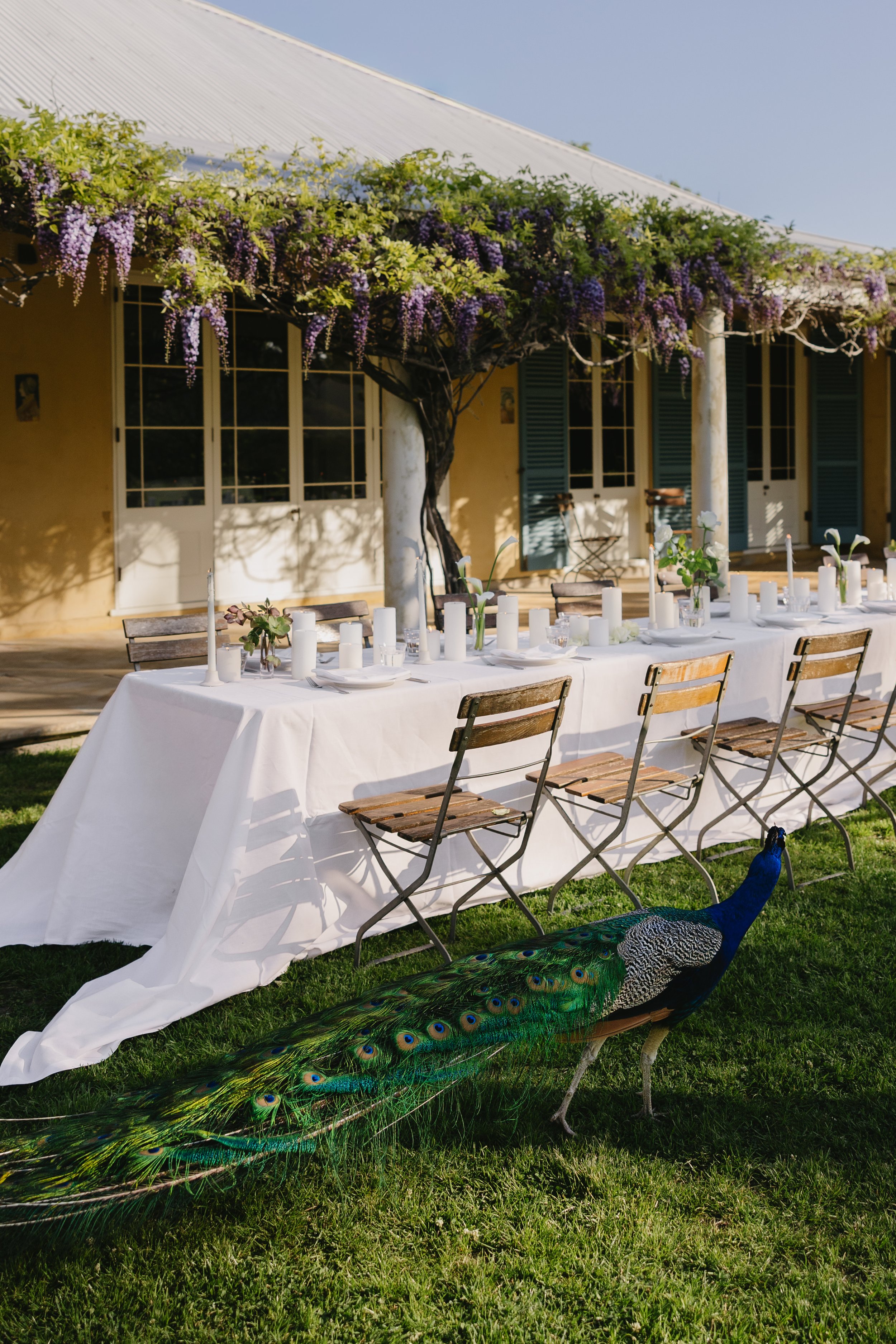 5 Hunter Valley Wedding Venues We’ve Loved Catering At Recently