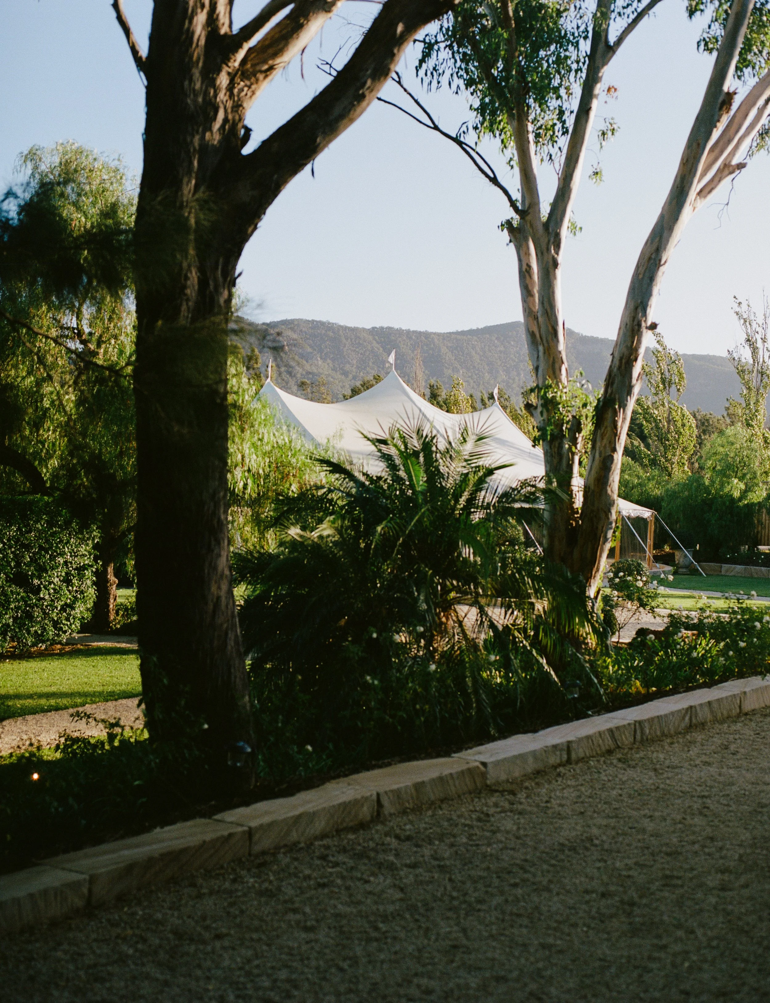 K&J - FILM-90.jpg