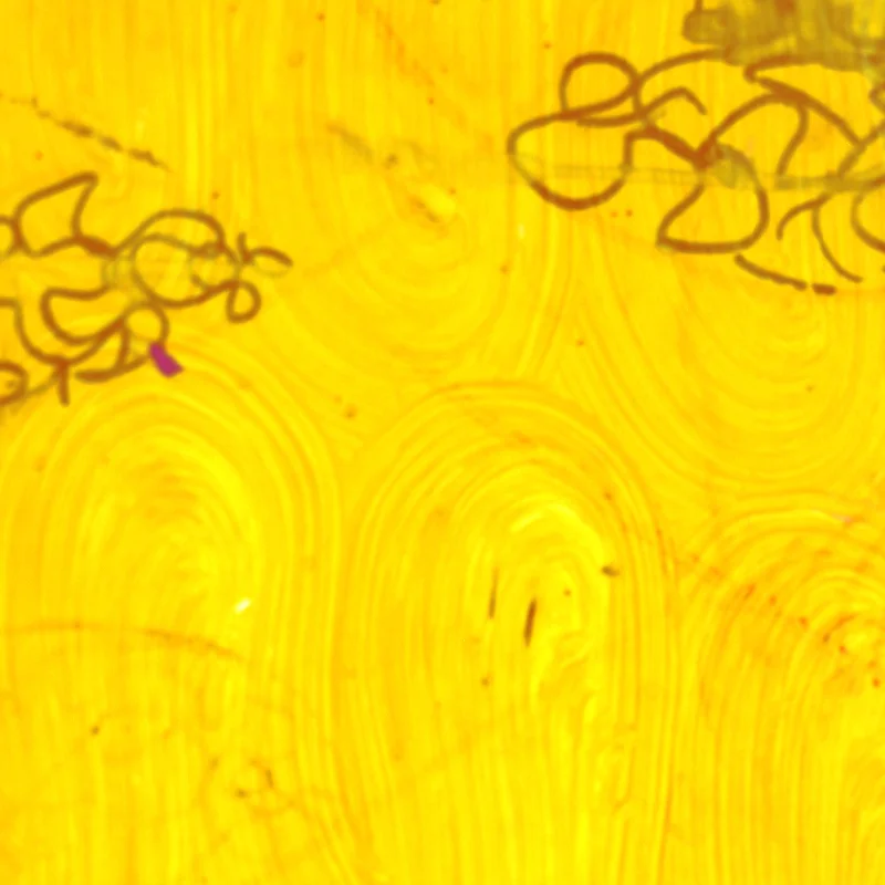 WSC-SQUARE_0016_Layer 80.jpg