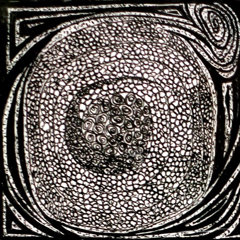 WSC-SQUARE_0077_Layer 17.jpg