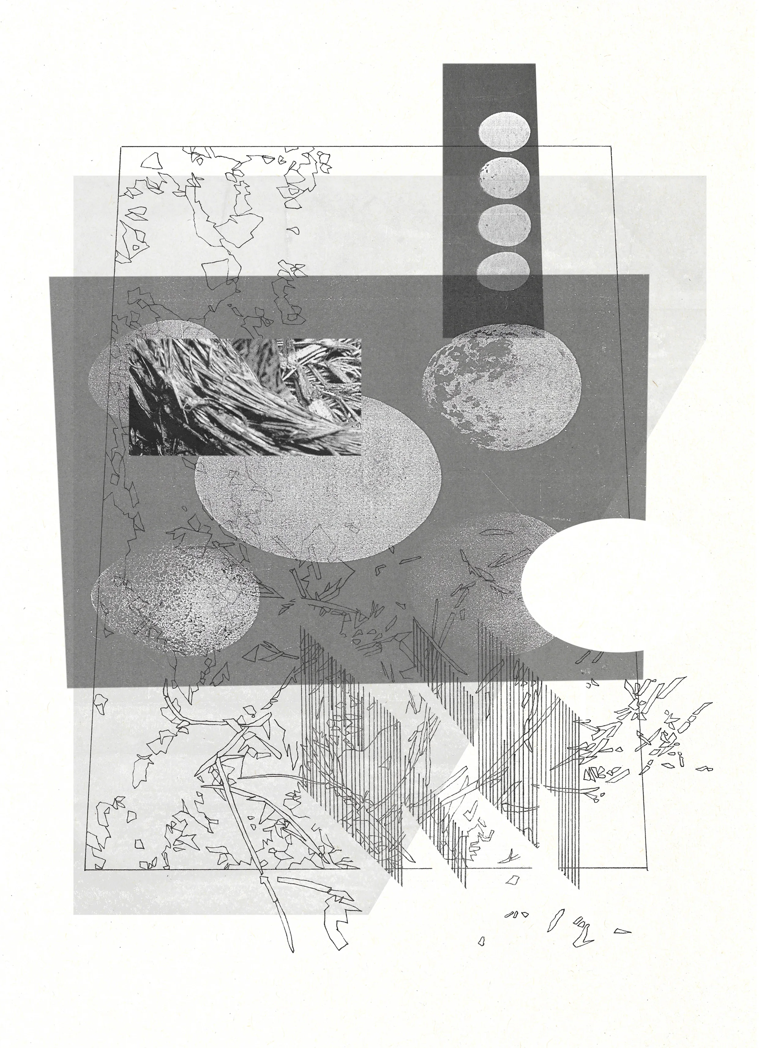 Nest_002
