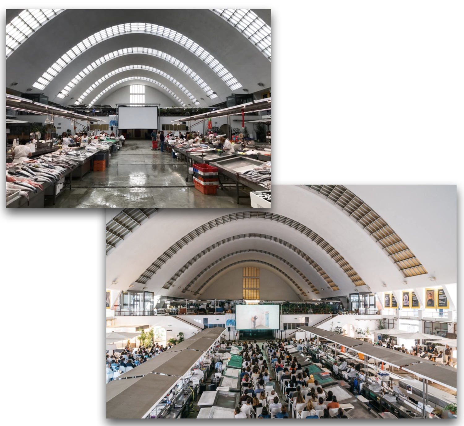 BH Fish Market.png
