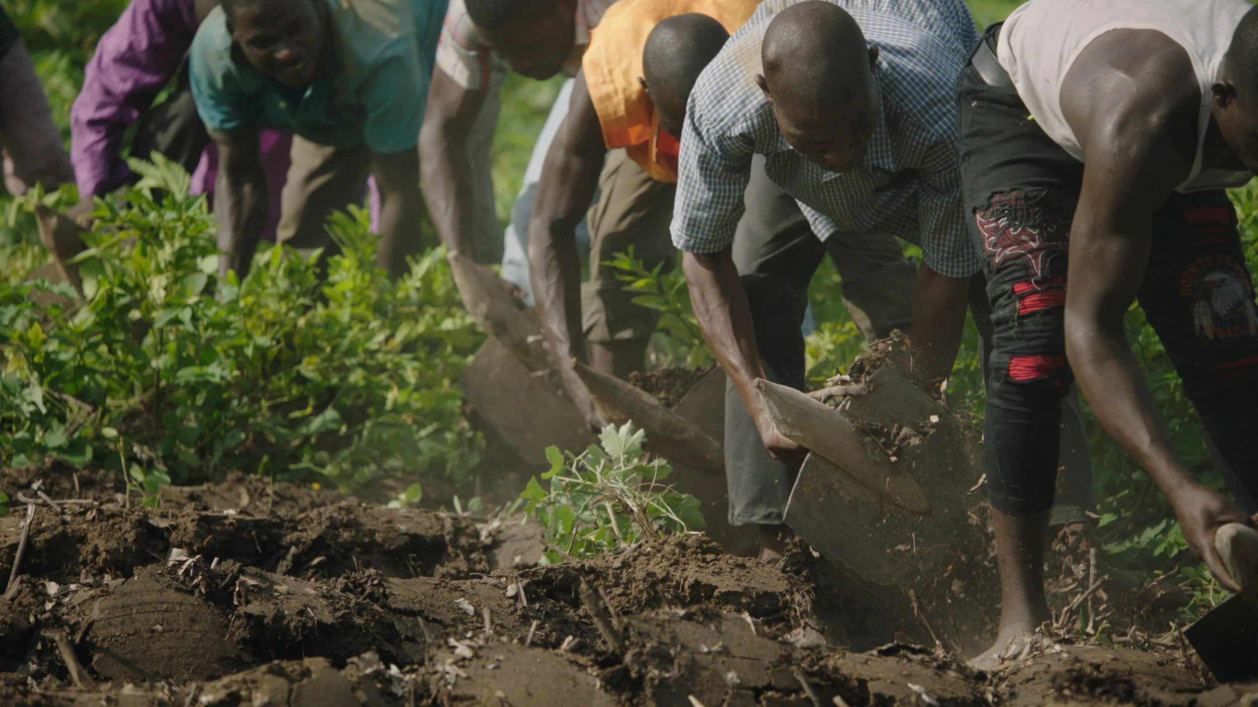 Venice GGW Groups Planting Trees.jpg