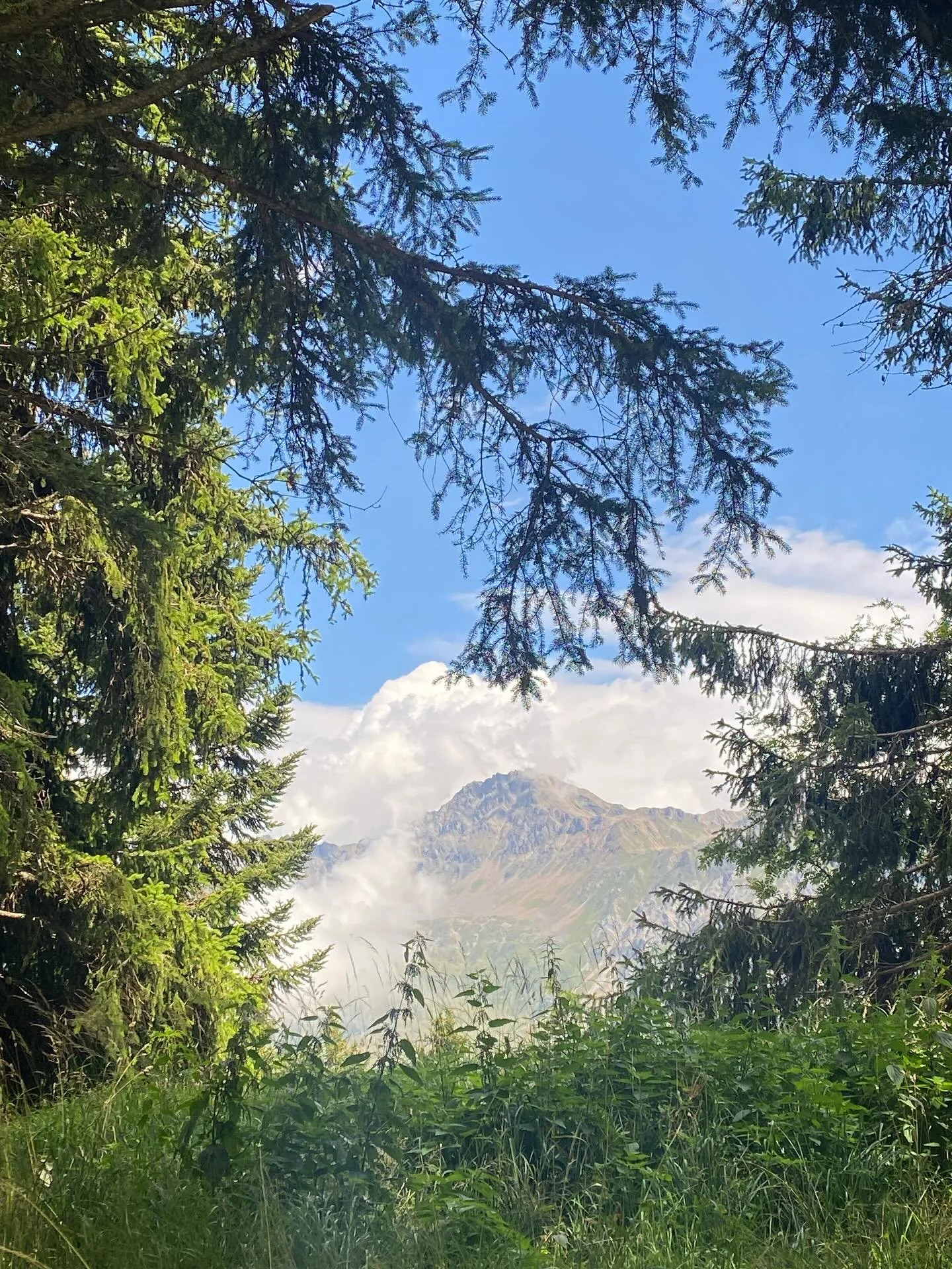 swiss august glimpse

#nature #summer #visit #colours #lake #mountains #outside #timeout #sun