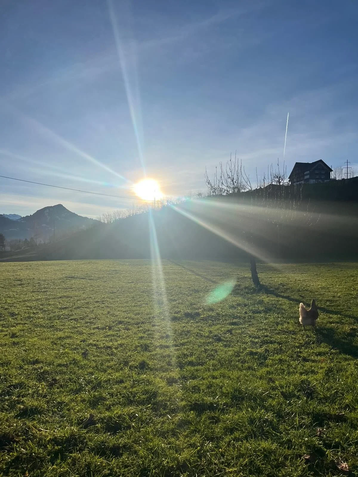 Some outdoor impressions from Switzerland last week. 

#outdoors #switzerland #mountains #views #winter #idylle #snow 
#nature #blueskies #hills #time #outdoor #family #friends #visit #musician #travel