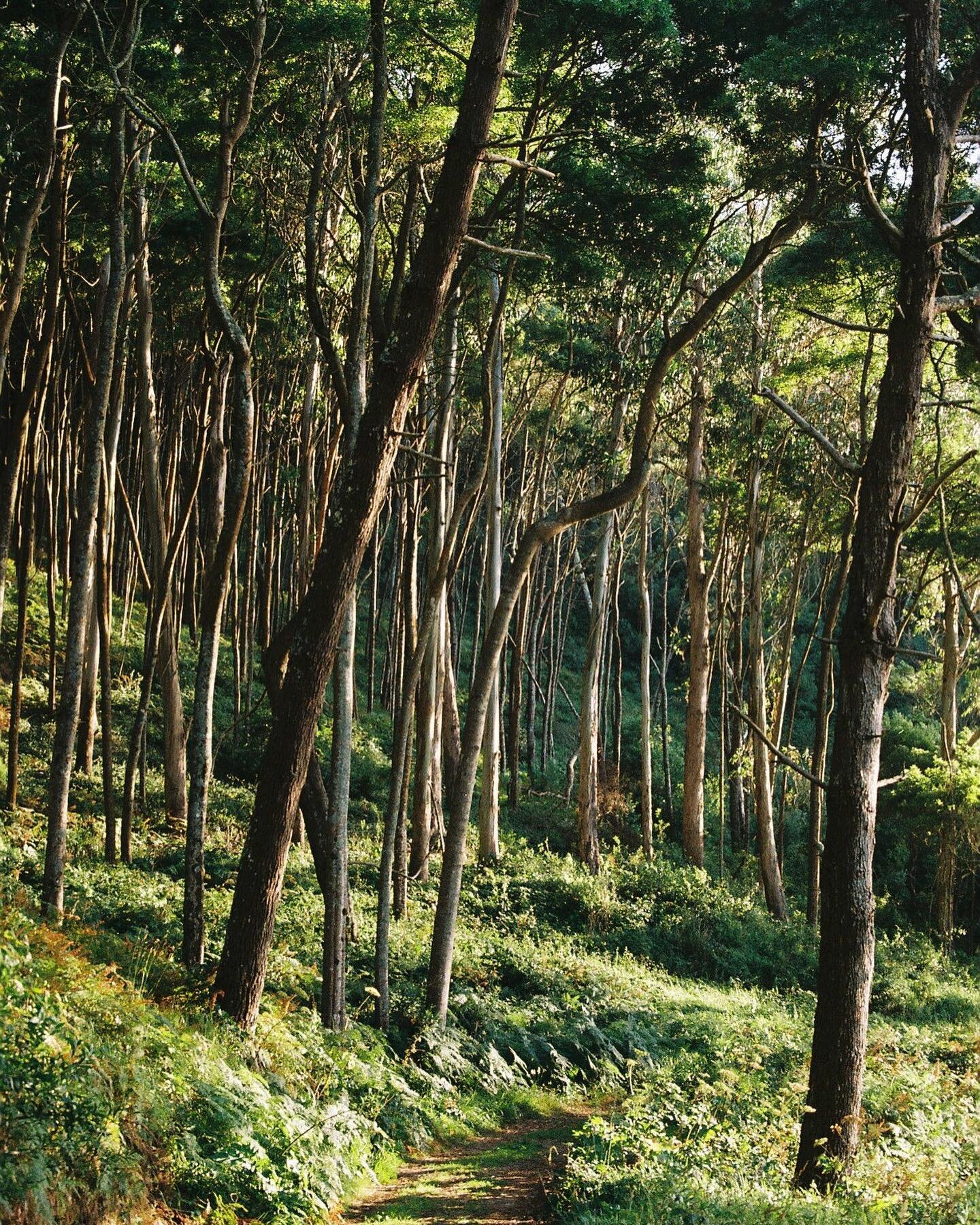 monte &amp; mar en 35mm
