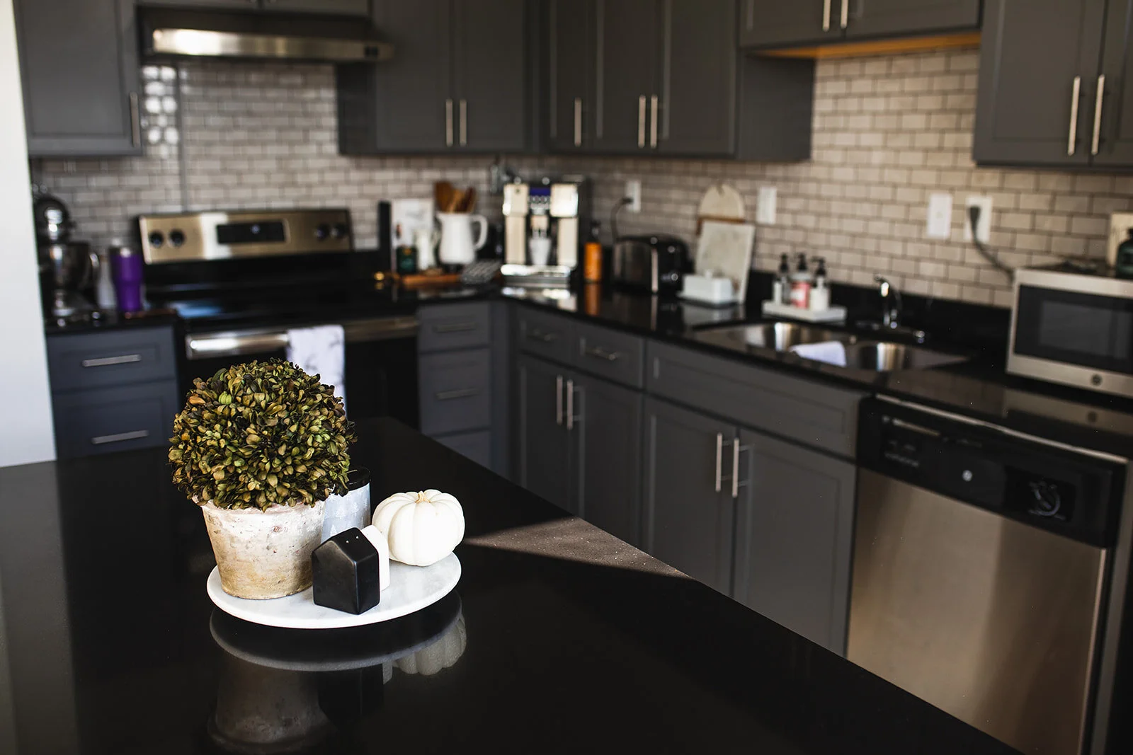 Apartments Lake City FL Apartments For Rent The Blanche