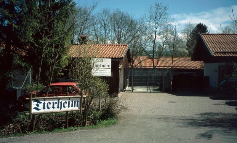 0000-Tierheim1.jpg