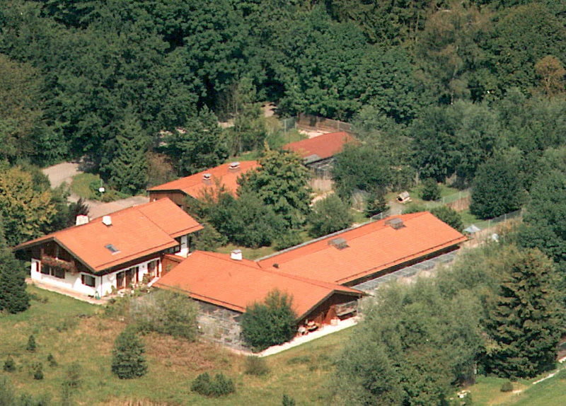 Die Gebäude des neuen Tierheims mit Wohnhaus und dem bestehenden alten Teil aus der Vogelperspektive