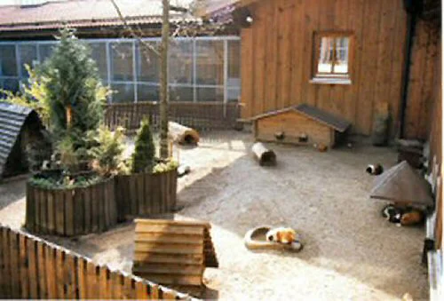 Kaninchen- und Meerschweinchengehege