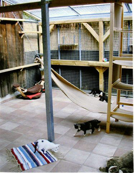 Freigehege für unsere Katzenkinder
