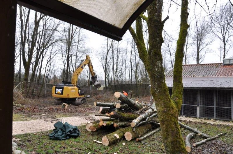 Bäume sind gefällt, Hundefreigehge abgebaut, es kann weiter gehen