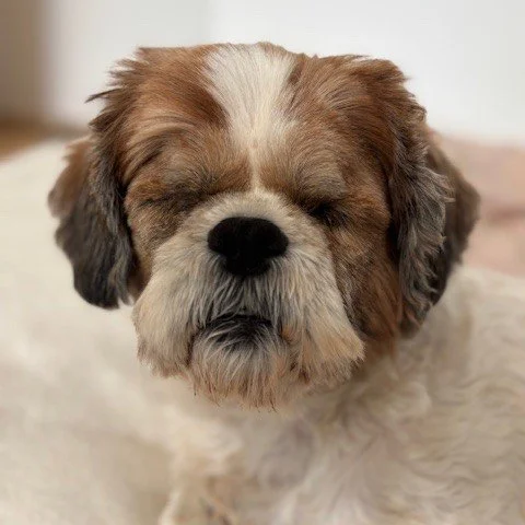 Bella3.jpg