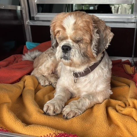 Bella2.JPG