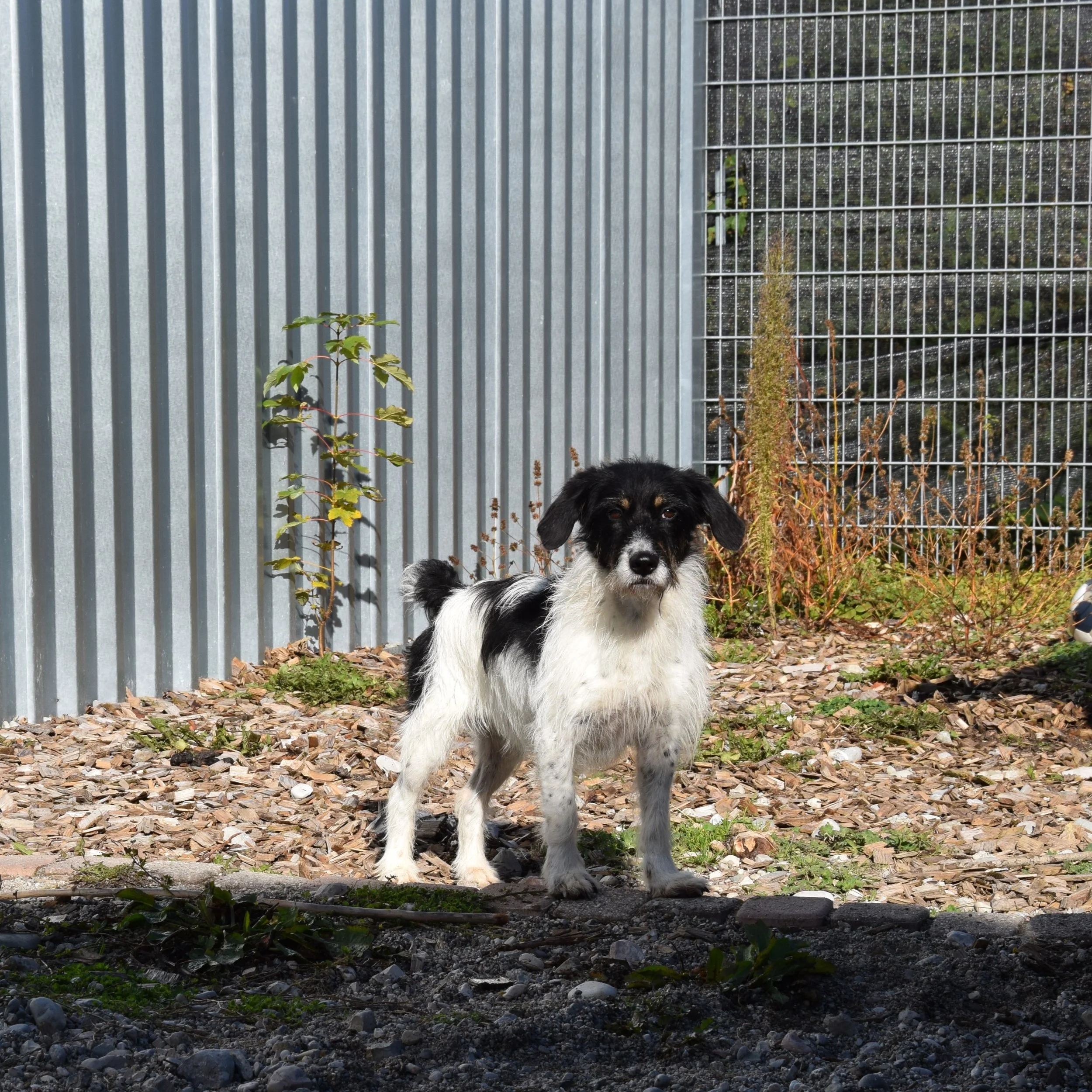 Kathi 12875.JPG