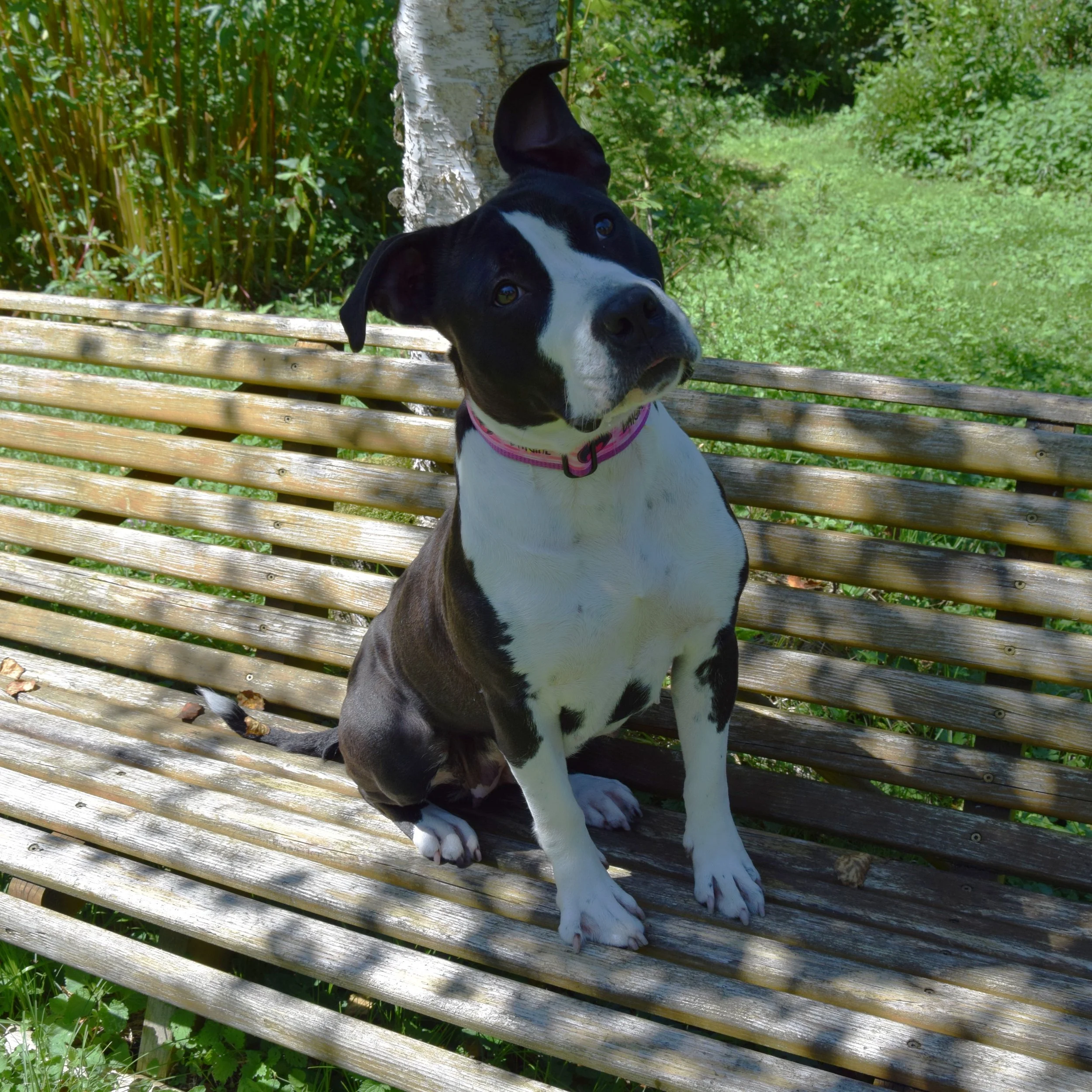 Wilma neu.JPG