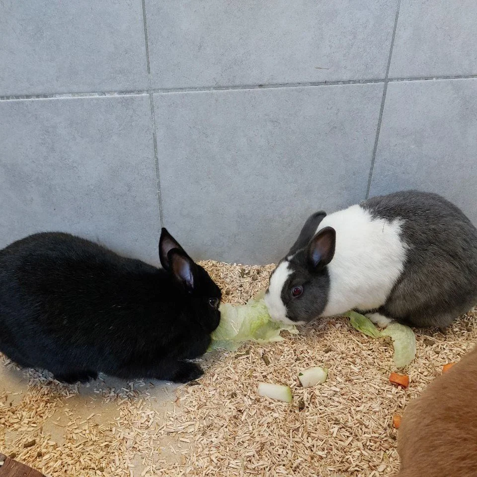 Ursula & Antonia.jpg