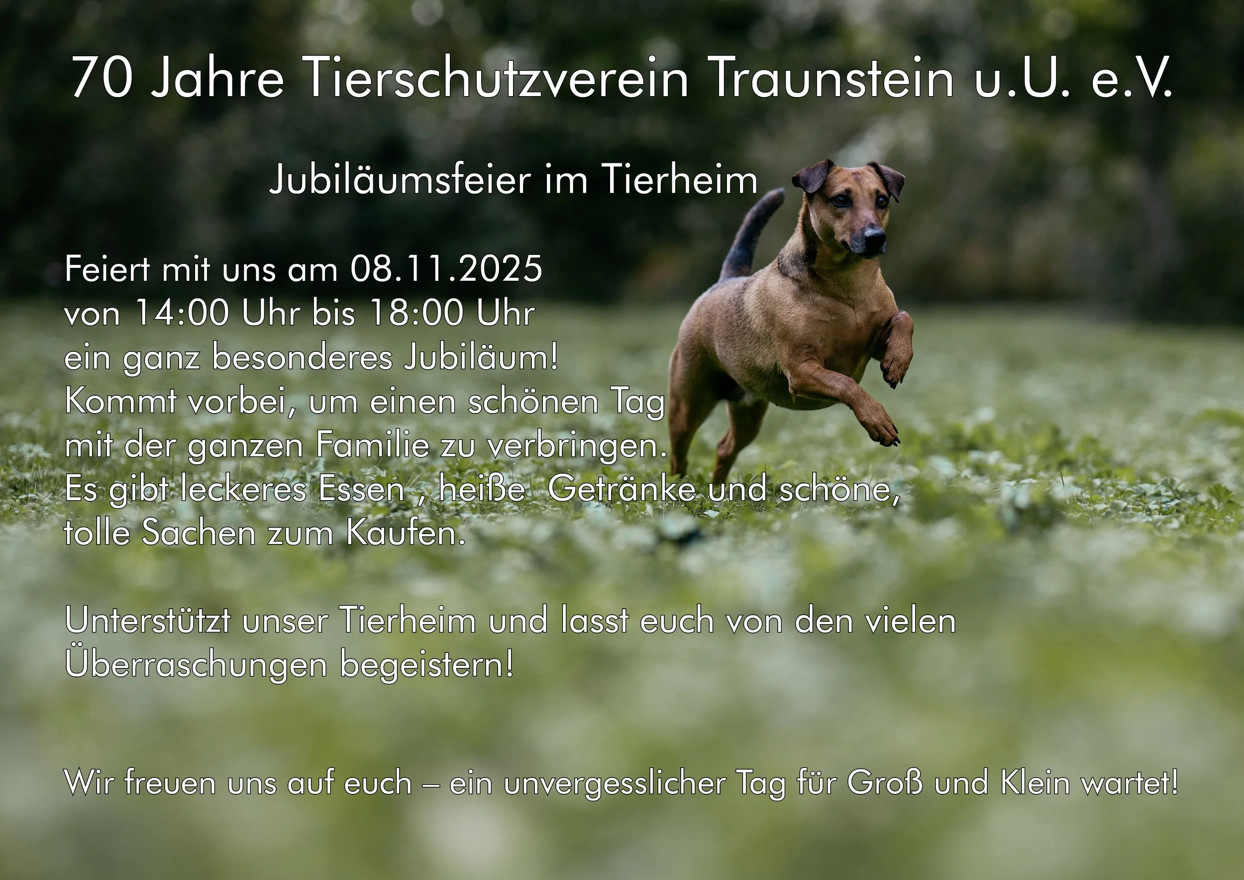 2025 Herbst 075.jpg