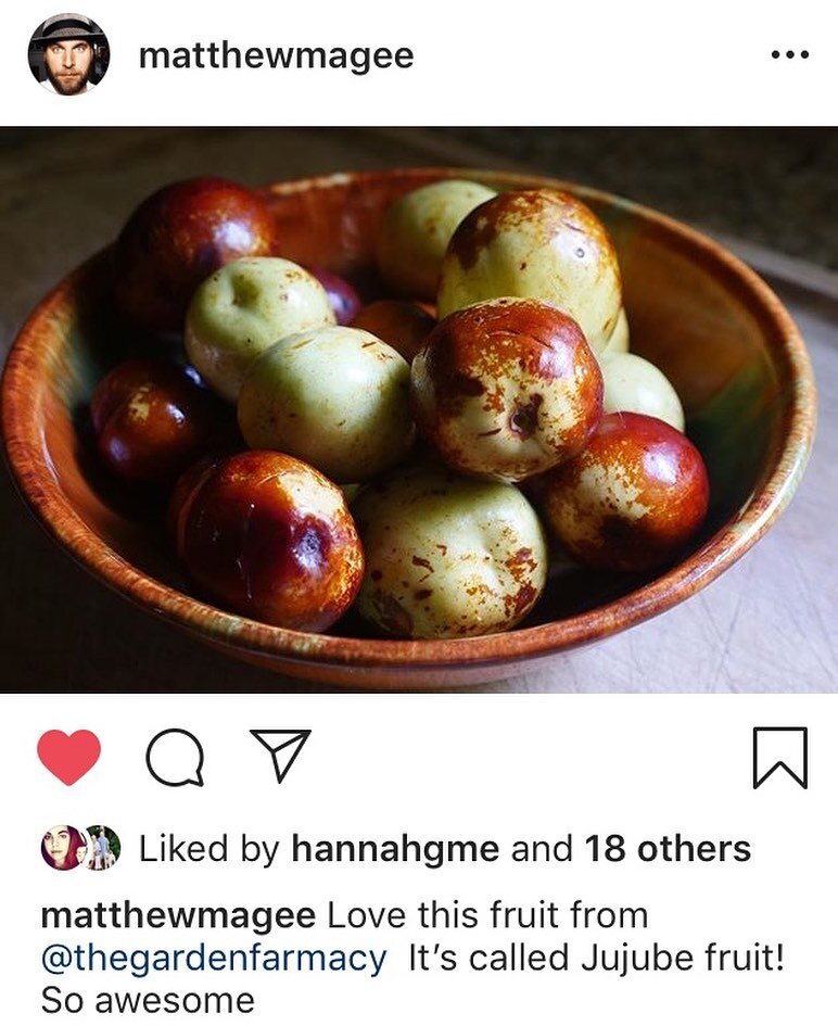 A great Jujube still life! from @matthewmagee #mississippigrown