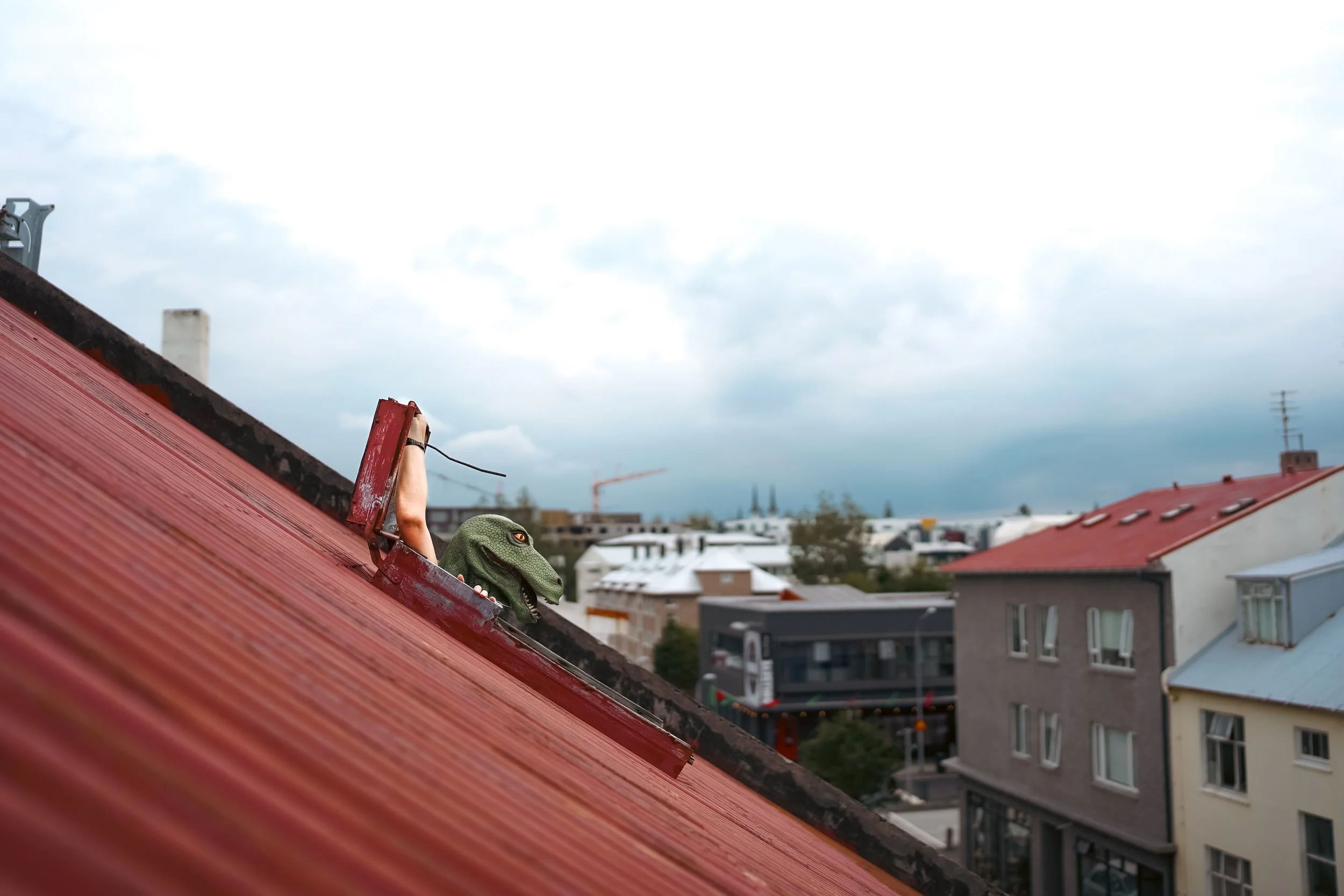 This is the image caption Title