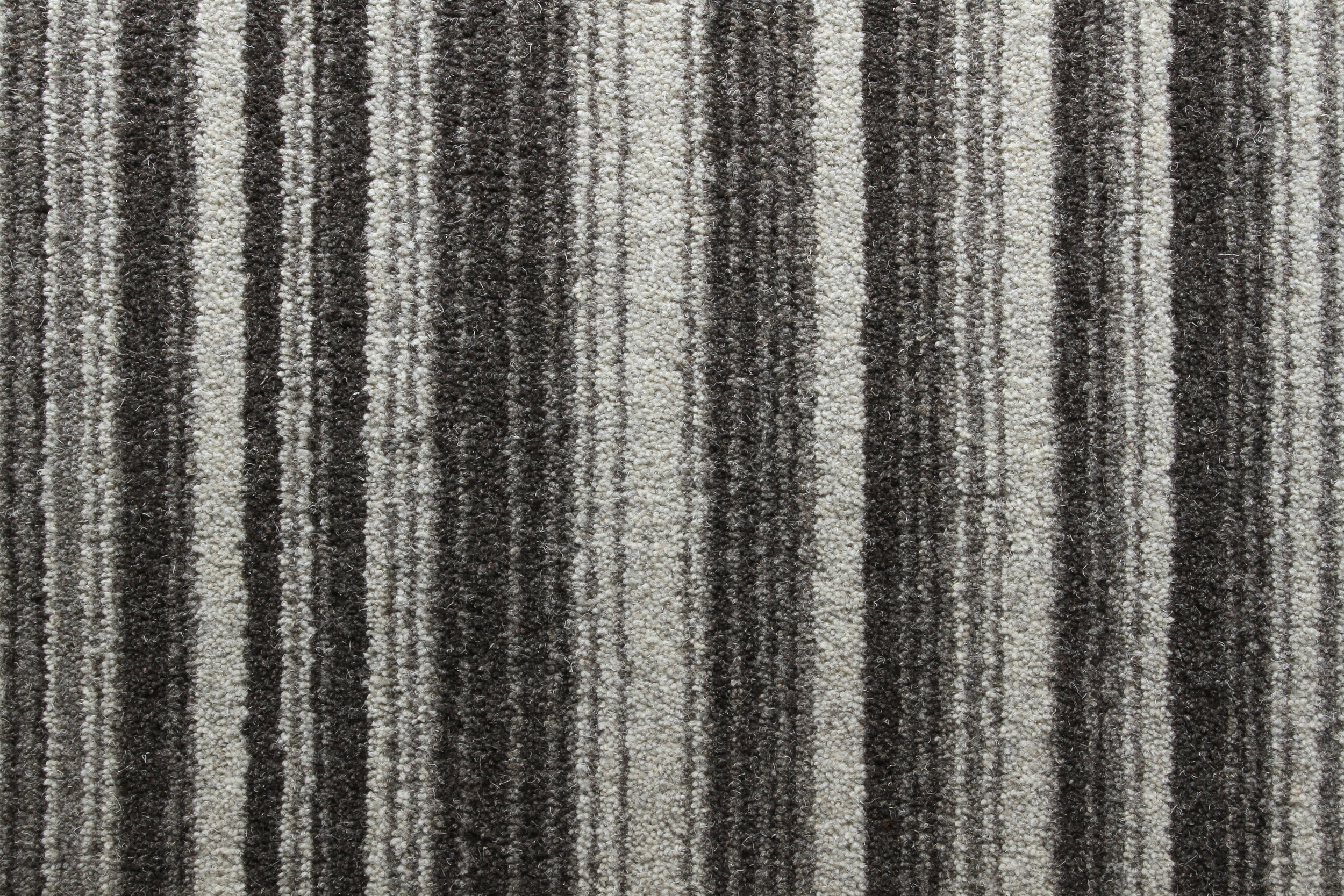 Boldstripe.jpg