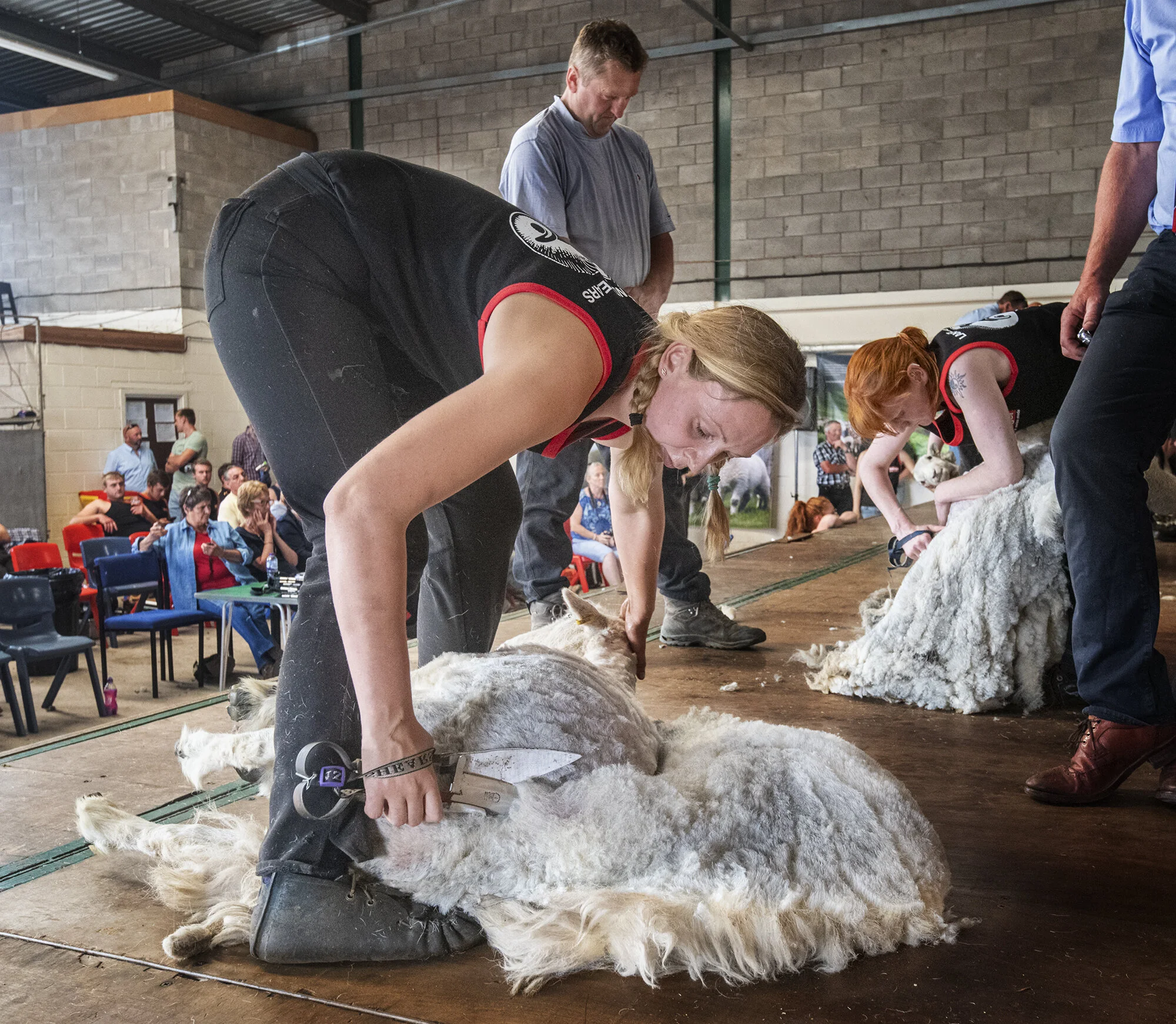 Getting Herdwick wool to market