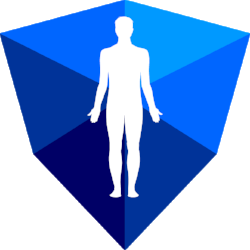 posture_scan.png