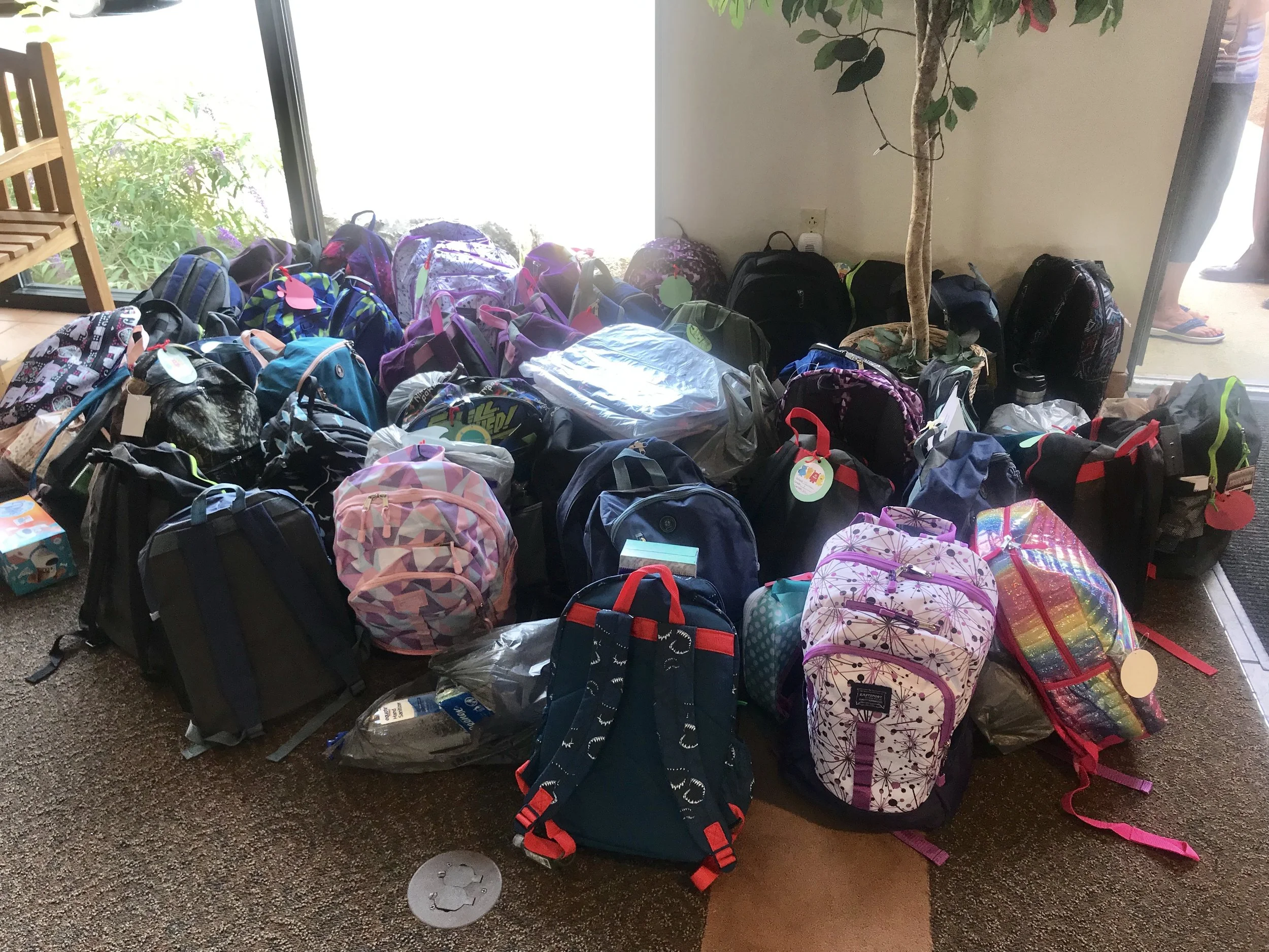 backpack drive2 2019.jpg